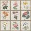 Picture of MONUMENT ETCHING TILE FLOWERS SQUARE II