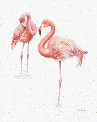 Picture of GRACEFULLY PINK X