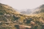 Picture of IN THE VALLEY