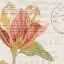 Picture of BOOKSHELF BOTANICAL III
