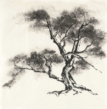 Picture of SUMI TREE II