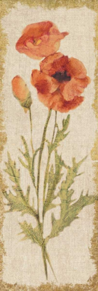 Picture of POPPY PANEL ON WHITE VINTAGE