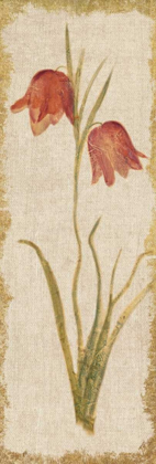 Picture of RED TULIP PANEL ON WHITE VINTAGE