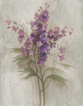 Picture of PURPLE LARKSPUR GARDEN ON GREY