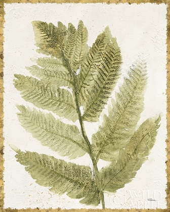 Picture of FOREST FERNS I ANTIQUE