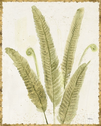 Picture of FOREST FERNS II V2 ANTIQUE