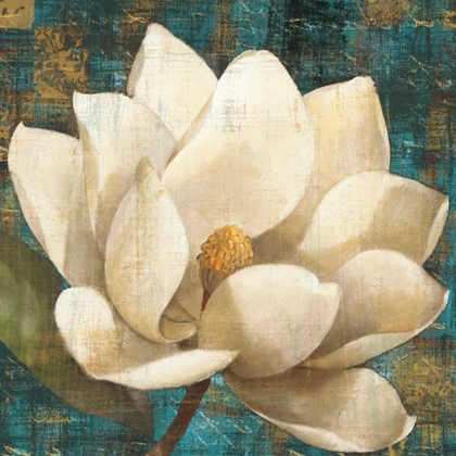 Picture of MAGNOLIA BLOSSOM