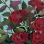 Picture of ABUNDANT ROSES I