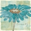 Picture of SPA DAISIES I