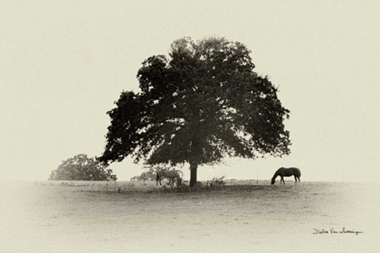 Picture of HORSES AND TREES I