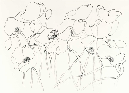 Picture of BLACK LINE POPPIES III