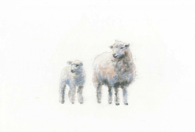 Picture of SHEEP AND LAMB
