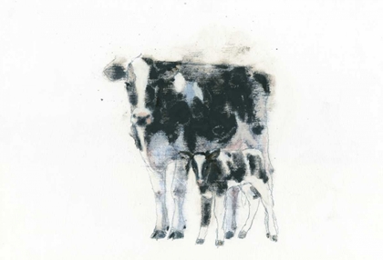 Picture of COW AND CALF