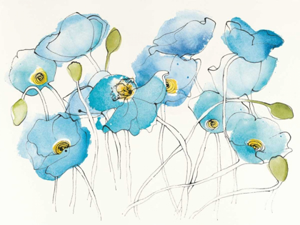 Picture of BLACK LINE POPPIES III WATERCOLOR