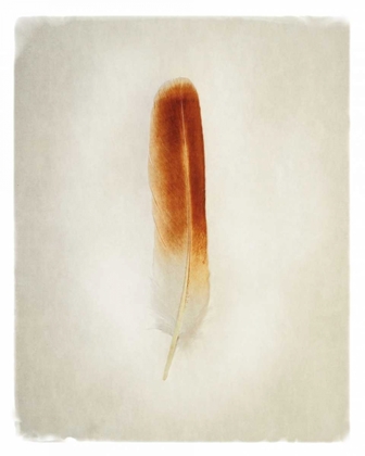 Picture of FEATHER II