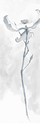 Picture of SOLITARY DOGWOOD IV GRAY