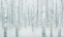 Picture of BIRCHES IN WINTER BLUE GRAY