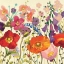 Picture of COULEUR PRINTEMPS III