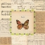 Picture of HOPE BUTTERFLY