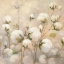 Picture of COTTON FIELD CROP