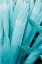 Picture of ABSTRACT AGAVA I COLOR