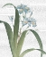Picture of SUMMER BOTANICALS III