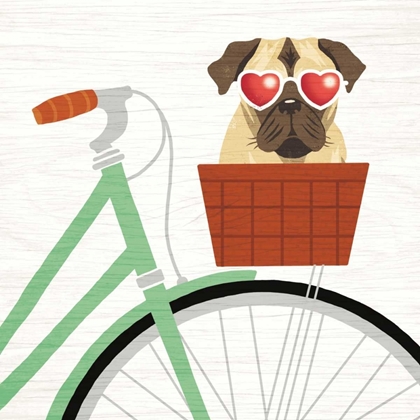 Picture of BEACH BUMS PUG BICYCLE I