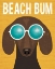 Picture of BEACH BUMS DACHSHUND I BUM