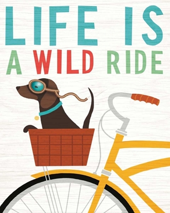 Picture of BEACH BUMS DACHSHUND BICYCLE I LIFE