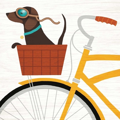 Picture of BEACH BUMS DACHSHUND BICYCLE I