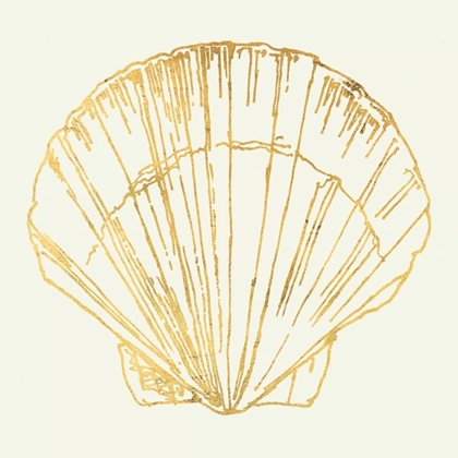 Picture of COASTAL BREEZE SHELL SKETCHES