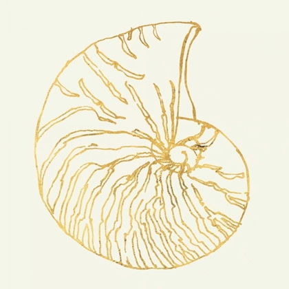 Picture of COASTAL BREEZE SHELL SKETCHES