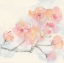 Picture of PINK BLOSSOMS III