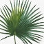 Picture of WELCOME TO PARADISE XVI ON WHITE