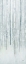 Picture of BIRCHES IN WINTER BLUE GRAY PANEL II