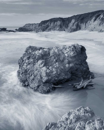 Picture of CALIFORNIA COAST CROP