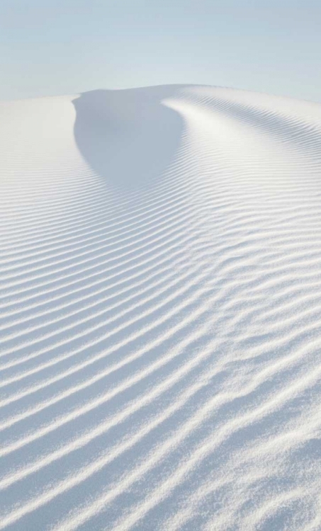 Picture of WHITE SANDS II NO BORDER