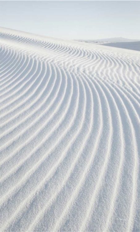 Picture of WHITE SANDS I NO BORDER