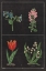 Picture of BOTANICAL ON BLACK CHART III