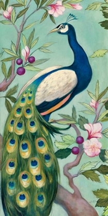Picture of PRETTY PEACOCK II