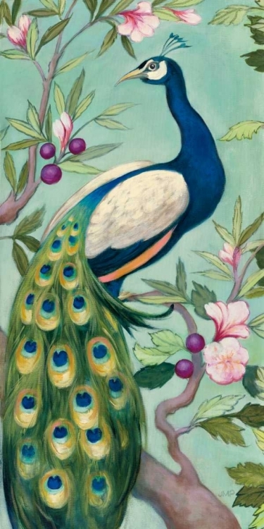 Picture of PRETTY PEACOCK II