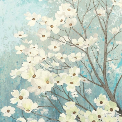 Picture of DOGWOOD BLOSSOMS I