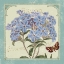 Picture of PARISIAN FLOWERS II