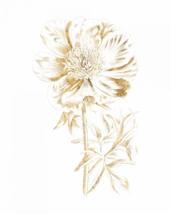 Picture of GILDED BOTANICAL VIII