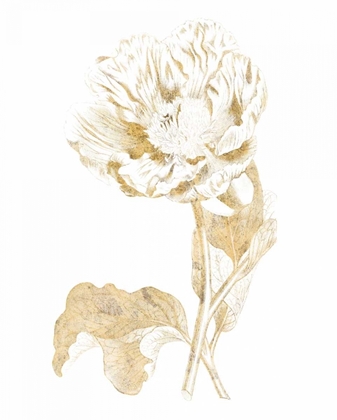 Picture of GILDED BOTANICAL VII