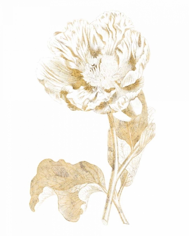 Picture of GILDED BOTANICAL VII