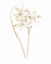 Picture of GILDED BOTANICAL IV