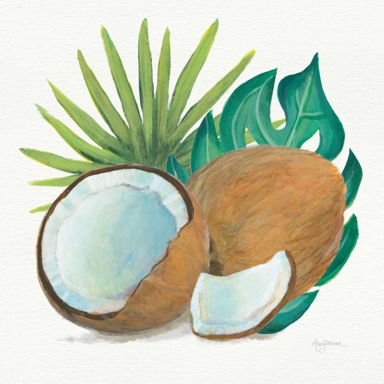 Picture of COCONUT PALM V