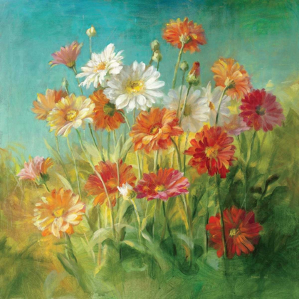 Picture of PAINTED DAISIES