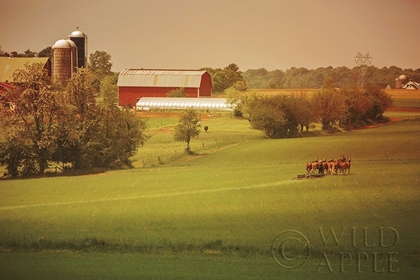 Picture of FALL FARM